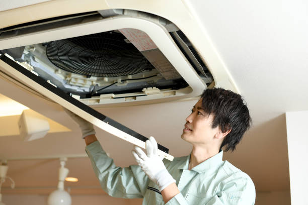 Best Affordable Duct Cleaning Services  in Borden, IN