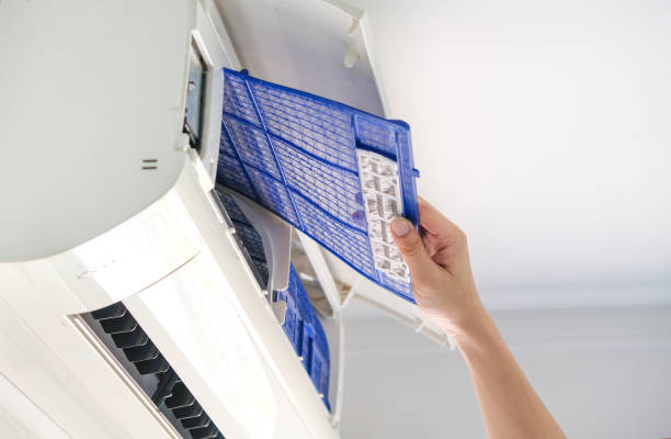 Best Home Air Vent Cleaning  in Borden, IN